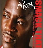 Smack That - Eminem feat. Akon