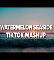 Watermelon Sugar - Seaside SEB (Tiktok Mashup)